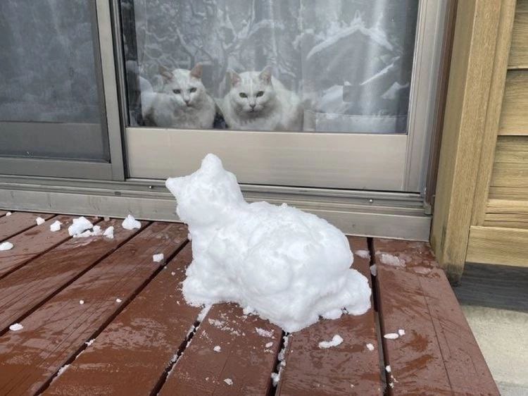 IsaevSergei2's tweet photo. Winter is coming... https://t.co/PUmnh0Xbd9