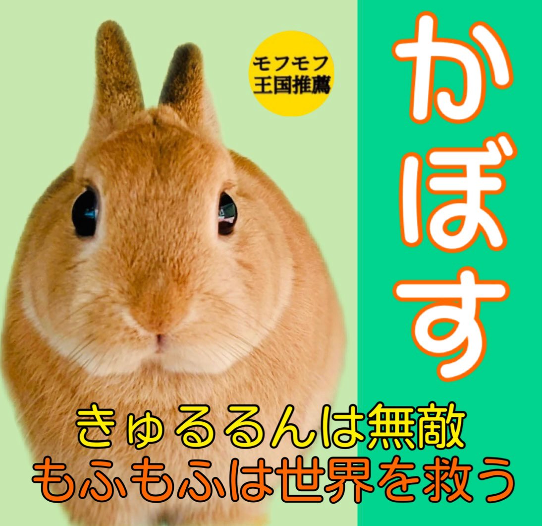 yuzutapioka tweet picture
