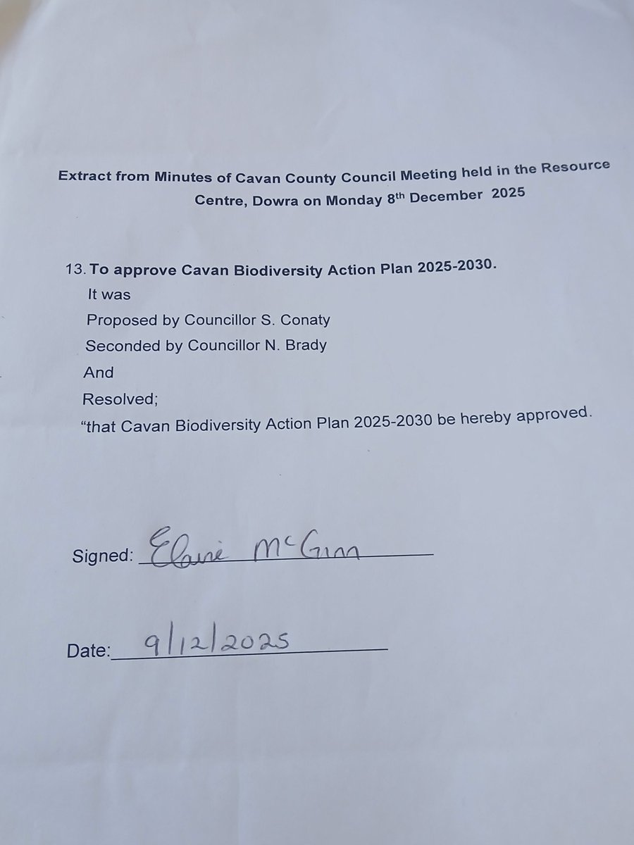 Cathal Flood tweet media