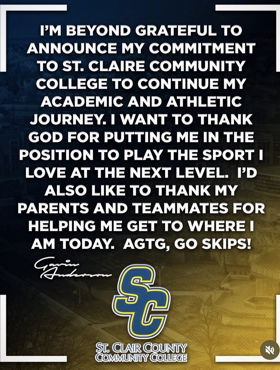 South Lyon Baseball tweet media