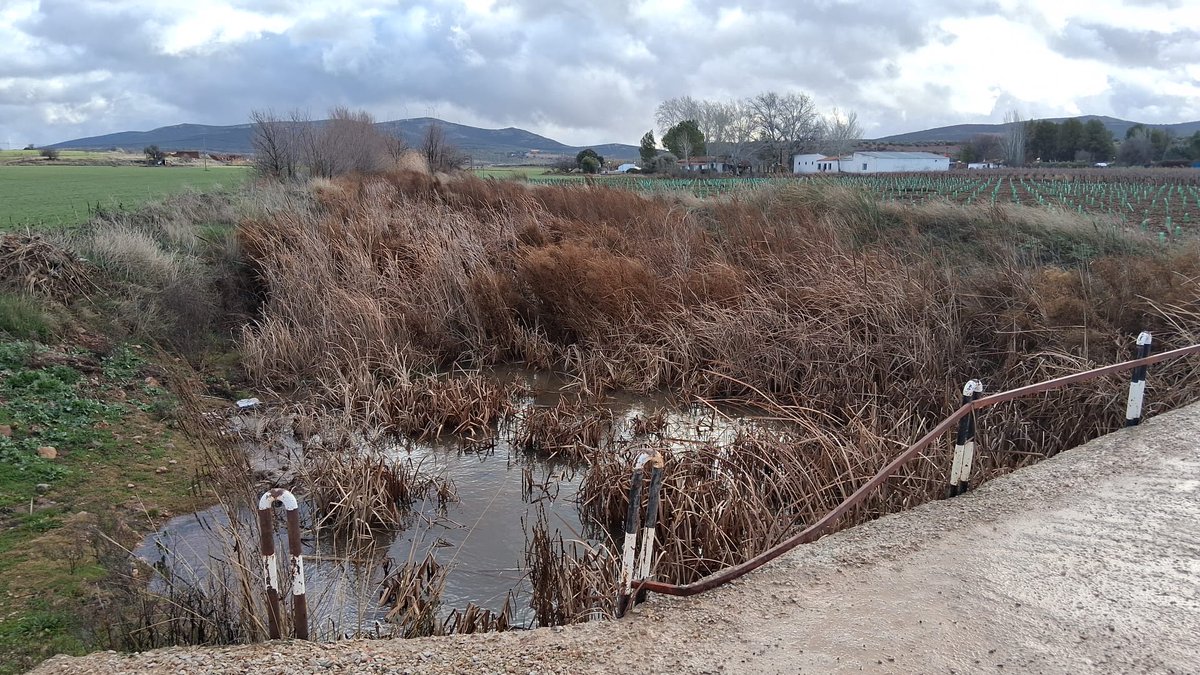 Ayuntamiento de La Solana (@ayto_lasolana) / Posts / X