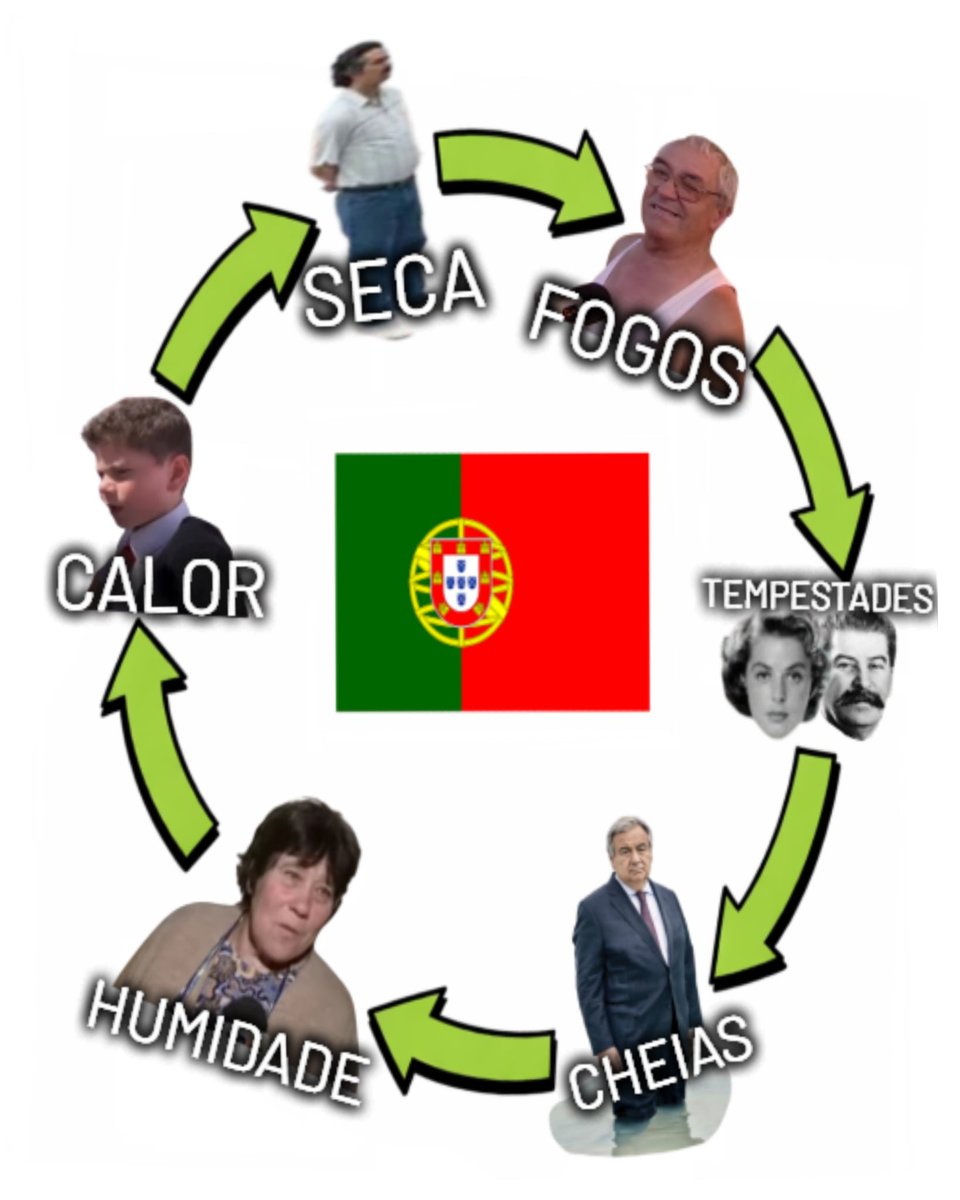 Bruno Aleixo tweet media