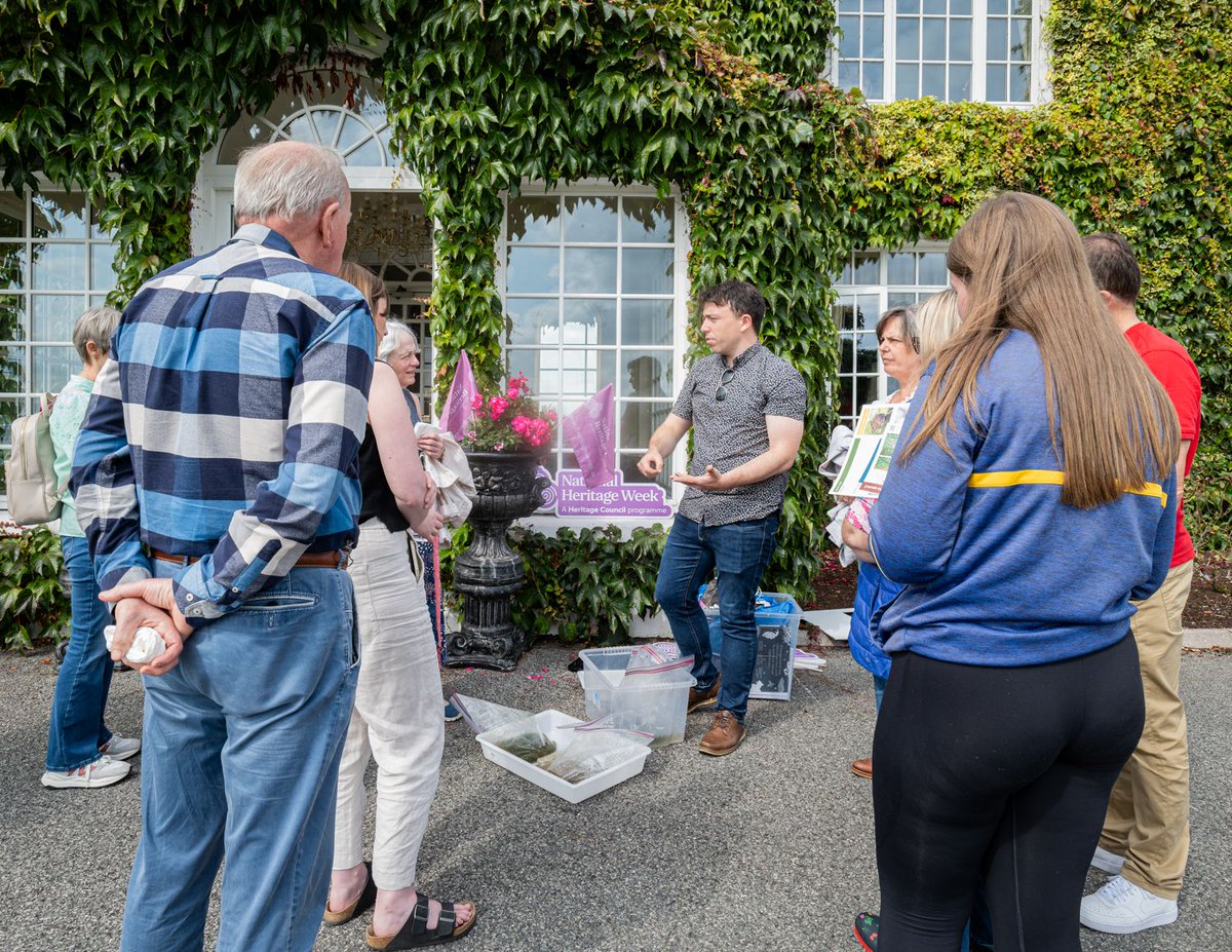 Cathal Flood tweet media