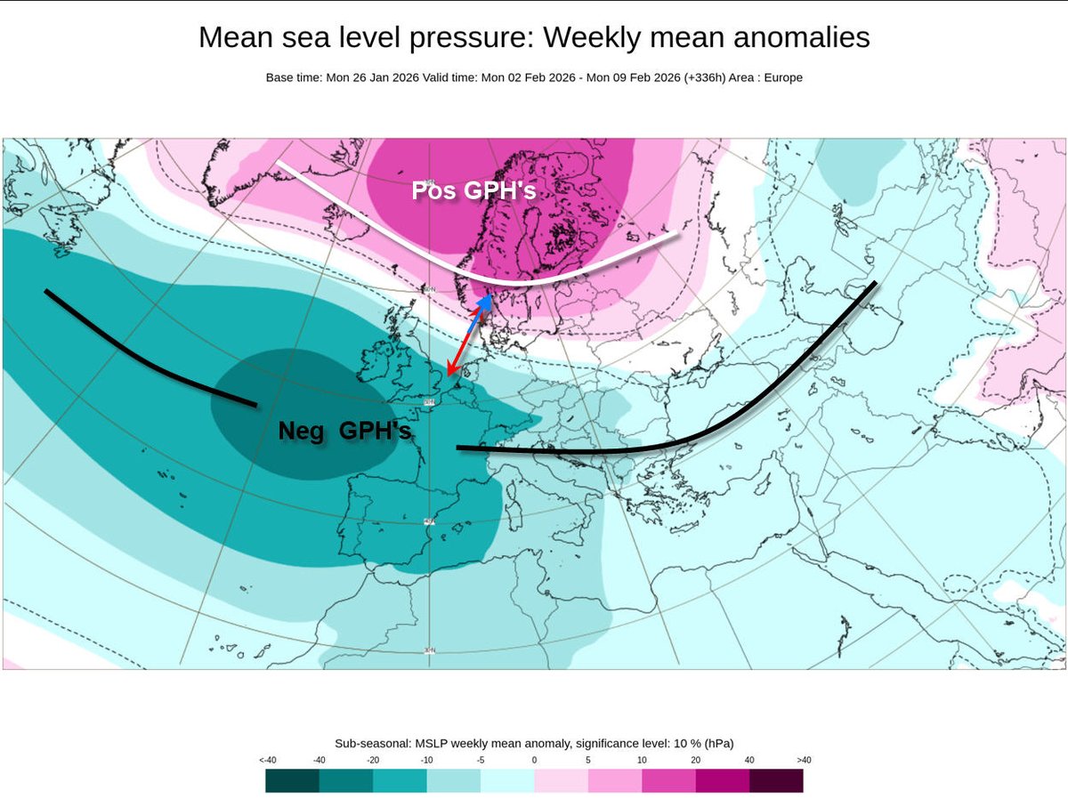 Alpenweerman's tweet photo. Stratosferische beschouwingen winter 2025-2026 (8)  Het zonale windregime op 10 hPa 60N  (pool) zal vlg het ECMWF model (1) deze week nog wat in kracht gaan toenemen tot 40 m/sec om vervolgens begin februari weer af te zwakken tot 22 m/s . In het vervolg zien we een deel vd ensemble leden die voor een verdere afname gaan, het gemiddelde vd ensembles blijft echter rond de 10 m/s hangen en daarmee is de kans op een opwarming die aan de criteria van een SSW voldoet niet bijzonder groot. Ook het GFS model  (2) heeft de kansen op een evt SSW vandaag weer verder teruggerekend, de kans op een SSW is vanmorgen 19%,   7 van de 31 leden gaan voor een sterkere vortex dan gemiddeld.  Een #SSW met omkering #reversal #easterlies resp een negatieve fase vd zonale wind boven de pool is daarmee nauwelijks thema.

Volgende week zal de polaire vortex (SPV) dus gaan  afzwakken en een langgerekte vorm aannemen waarbij hij zich gaat uitstrekken vanaf de Oeral tot centraal Noord Amerika #Canada. Vanaf 3 februari zien we vervolgens de vorming van twee (S)PV kernen / (koude) centra waarvan één boven de Oeral en het andere boven de Baffinbaai komt te liggen. Deze 2 koudepolen vinden we dan ook terug in de wat lagere stratosfeer

Voor onze contreien lijkt dit voorlopig allemaal van weinig tot geen invloed. De aanhoudende hoogterugvorming (positieve  #GPH's (hogedruk) boven Groenland tot over #Scandinavie zullen de hoogtetroggen en neg #GPH's (lagedruk) in een groot deel van Europa ondersteunen.  Wel is het zaak om de ontwikkelingen in regio van #Groenland de komende tijd in de gaten te houden ivm mogelijke verdere drukstijgingen #Groenland blokkade wat uiteindelijk de winter (kou) dan weer naar ons kan doen brengen
