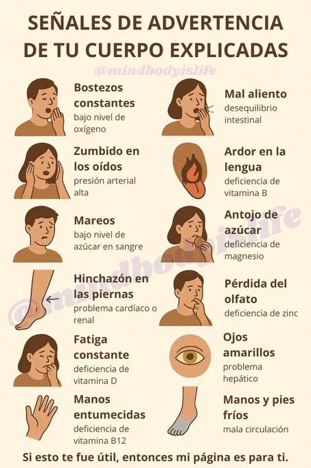 MindBodyIsLife's tweet photo. SEÑALES DE ADVERTENCIA DE TU CUERPO EXPLICADAS

• Bostezos constantes → bajo nivel de oxígeno
• Zumbido en los oídos → presión arterial alta
• Mareos → bajo nivel de azúcar en sangre
• Hinchazón en las piernas → problema cardíaco o renal
• Fatiga constante → deficiencia de vitamina D
• Manos entumecidas → deficiencia de vitamina B12
• Mal aliento → desequilibrio intestinal
• Ardor en la lengua → deficiencia de vitamina B
• Antojo de azúcar → deficiencia de magnesio
• Pérdida del olfato → deficiencia de zinc
• Ojos amarillos → problema hepático
• Manos y pies fríos → mala circulación