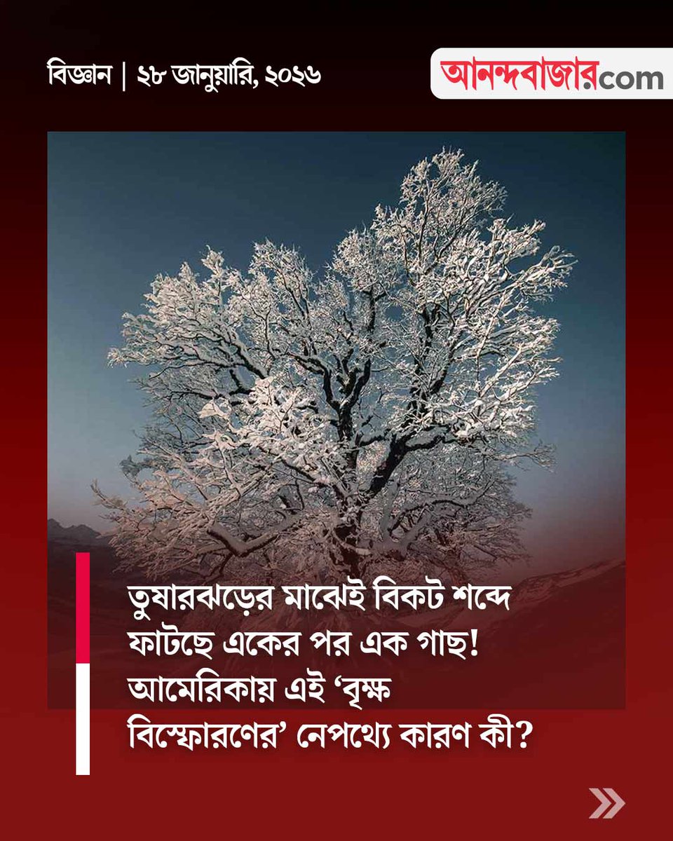 MyAnandaBazar's tweet photo. কী ভাবে হয় এই বিস্ফোরণ?
#ScienceNews #extremecoldweather #trees 

https://t.co/8HriUFoUTO https://t.co/5KGgL15xhQ