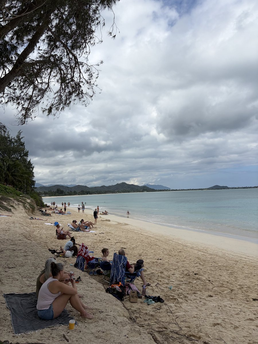 山本空良（公式） tweet media