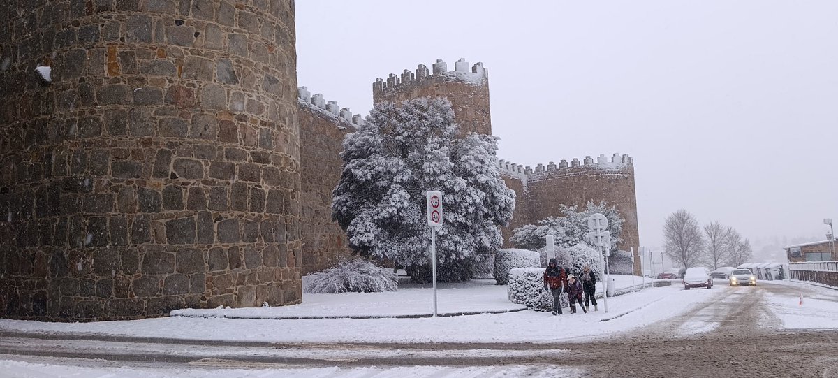 MeteoÁvila tweet media