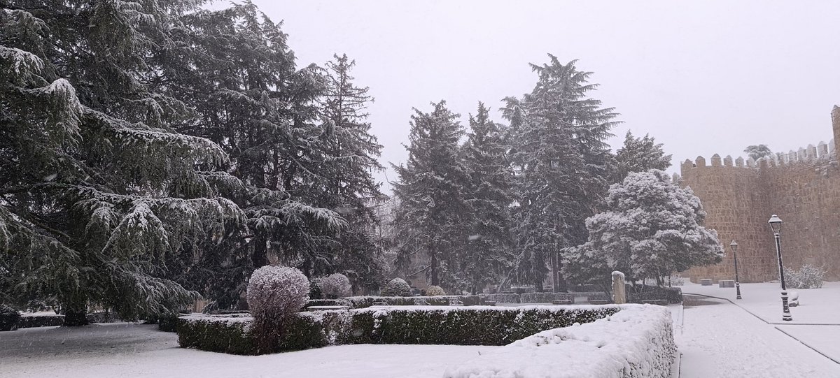 MeteoÁvila tweet media