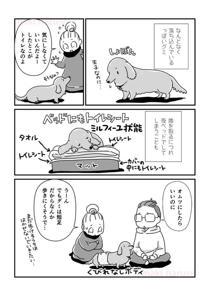 【再掲】「おトイレ問題」(2/2)

#グミ銀
#グミ王子
#柴犬銀次郎
#真希ナルセ 