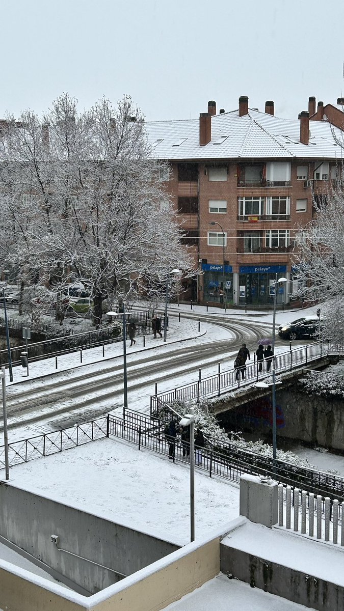 🚨❄️ En días complicados, es importante que las líneas telefónicas de emergencia se mantengan libres para situaciones de urgente necesidad

☎️ En estos momentos tenemos las líneas colapsadas

🙏 Gracias por tu responsabilidad

👮🏻‍♂️🚔👍🏼

#Emergencia #PoliciaLocal #ColladoVillalba