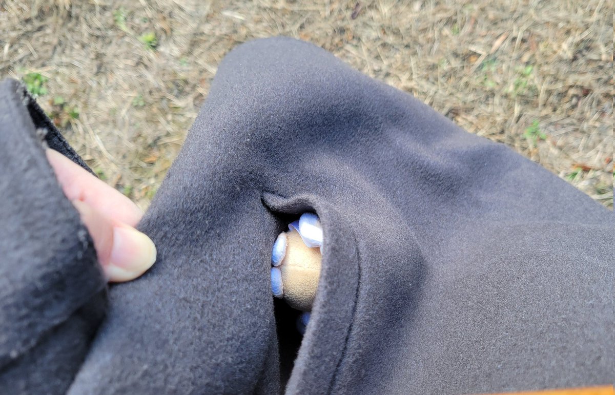 「ﾀﾑｲ｣って言ってコートのポケットの中潜り込んでから出てこなくなった