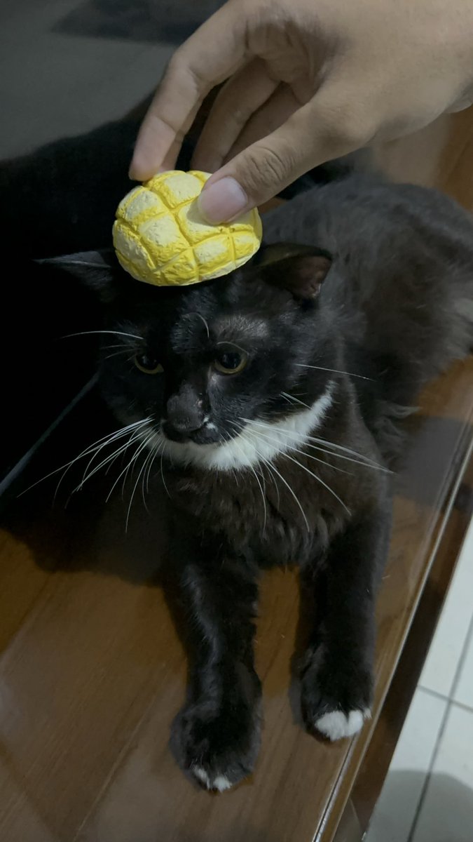 PRAMANA(ex seller itemku😭) tweet media