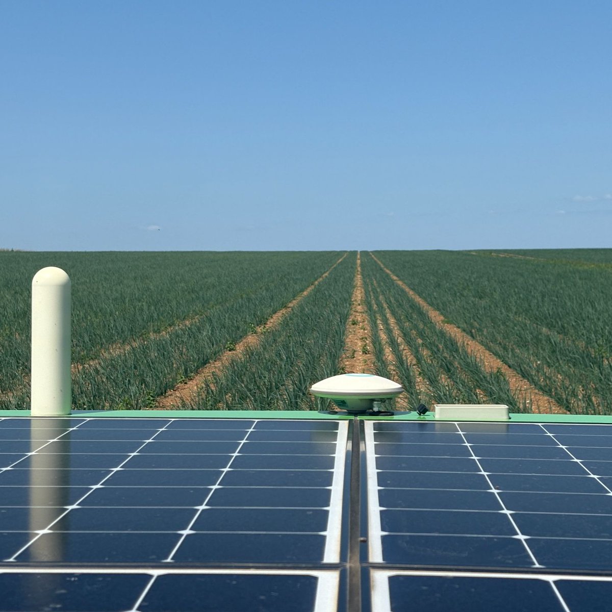 FarmDroid tweet media