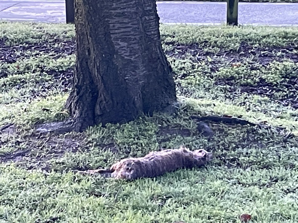 Darren Munday tweet media