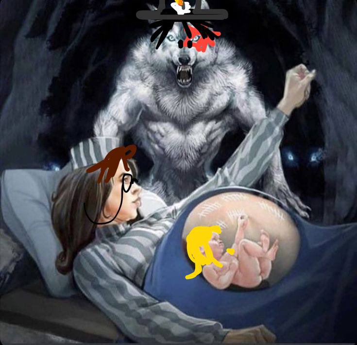 #nortpheus #orphnort