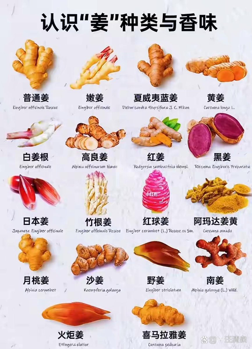 芳草青青 tweet media