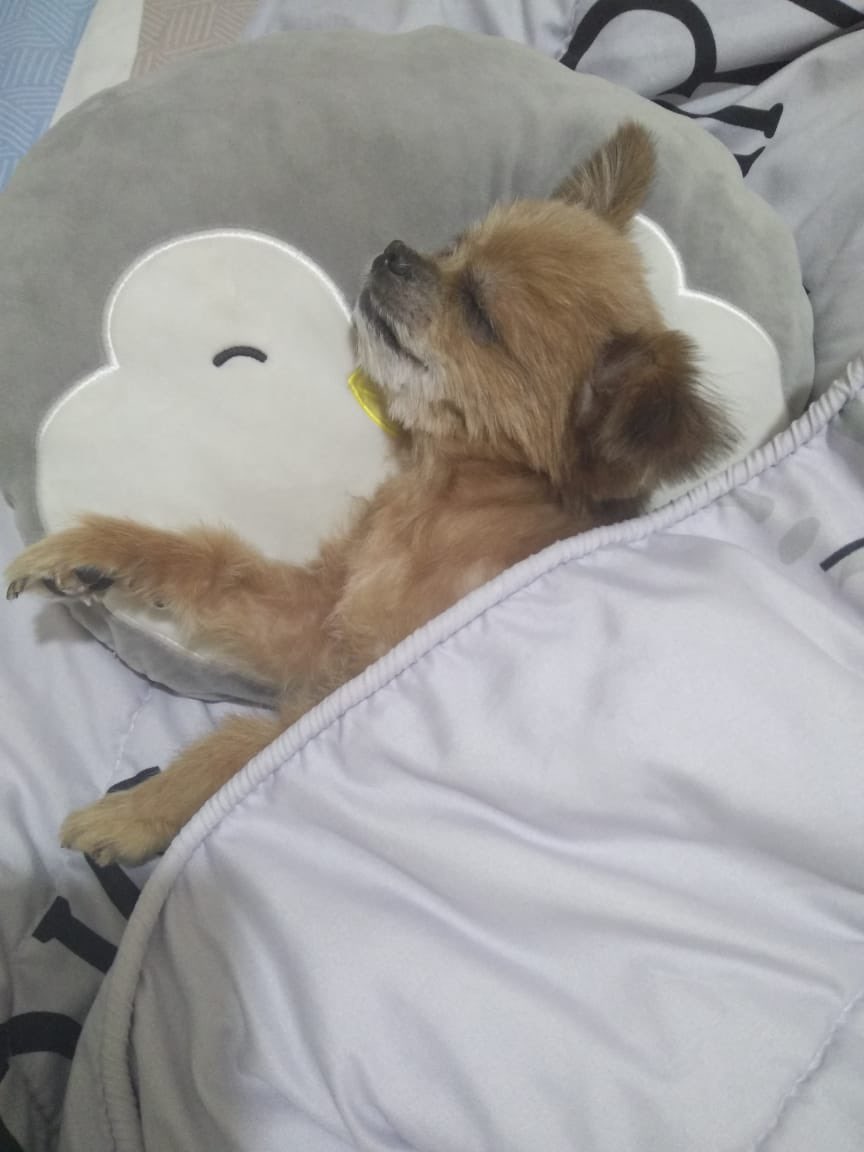 blobob.blobob tweet media