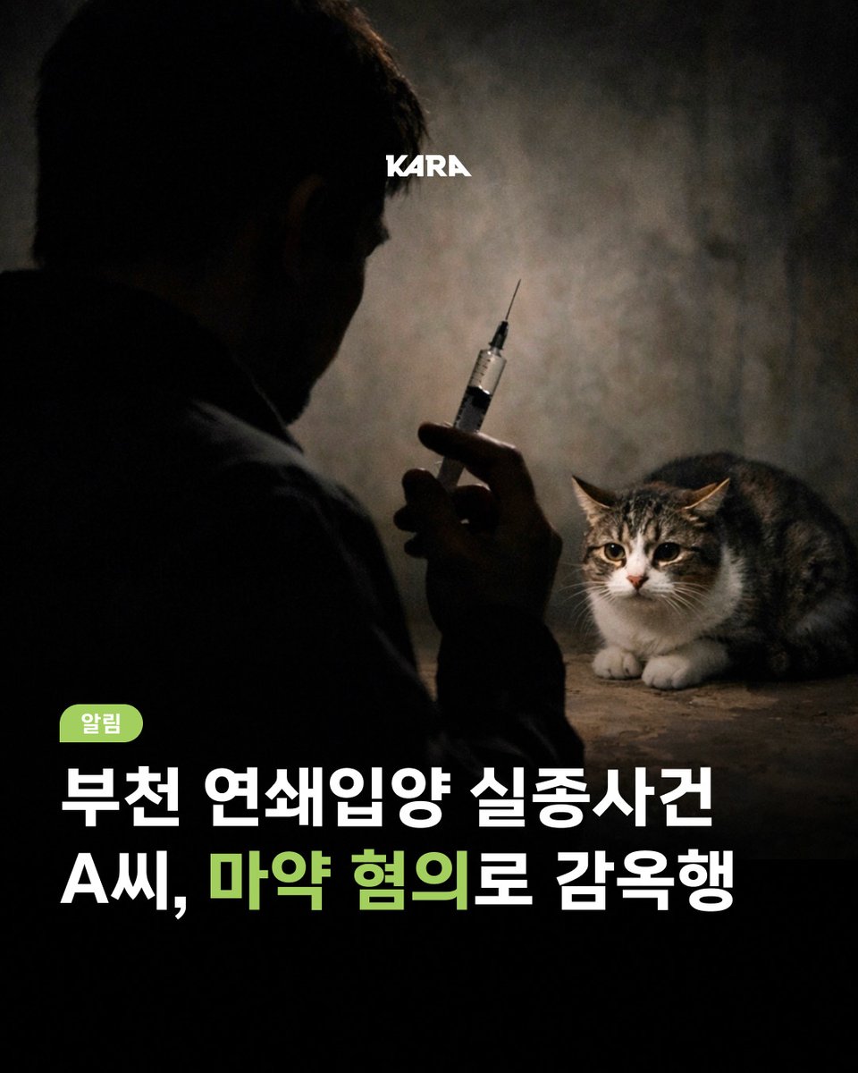 동물권행동 카라 tweet media