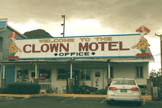 allison harvard burke tweet media