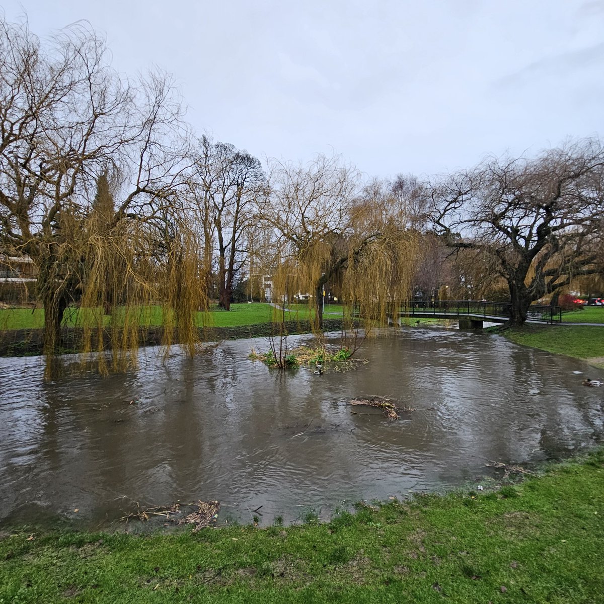 Harolds Cross D6W tweet media