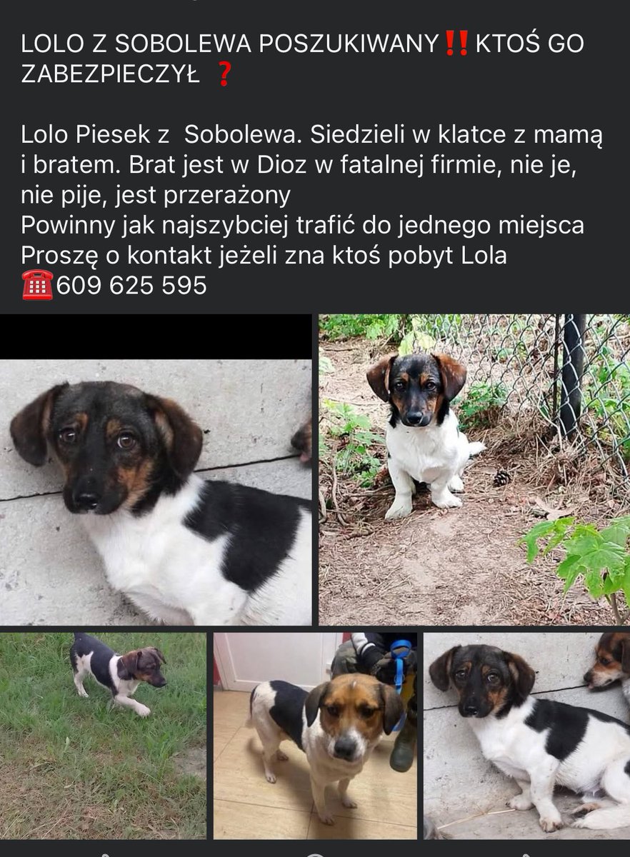 Ka SzaLew 📚 (@kszalew) on Twitter photo 