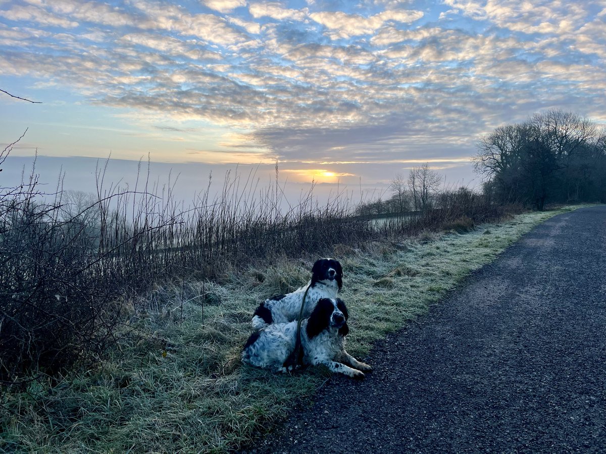 Good morning Wednesday!