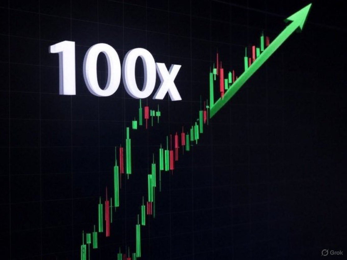 Which MemeCoin will do a 100X in 2026?📈