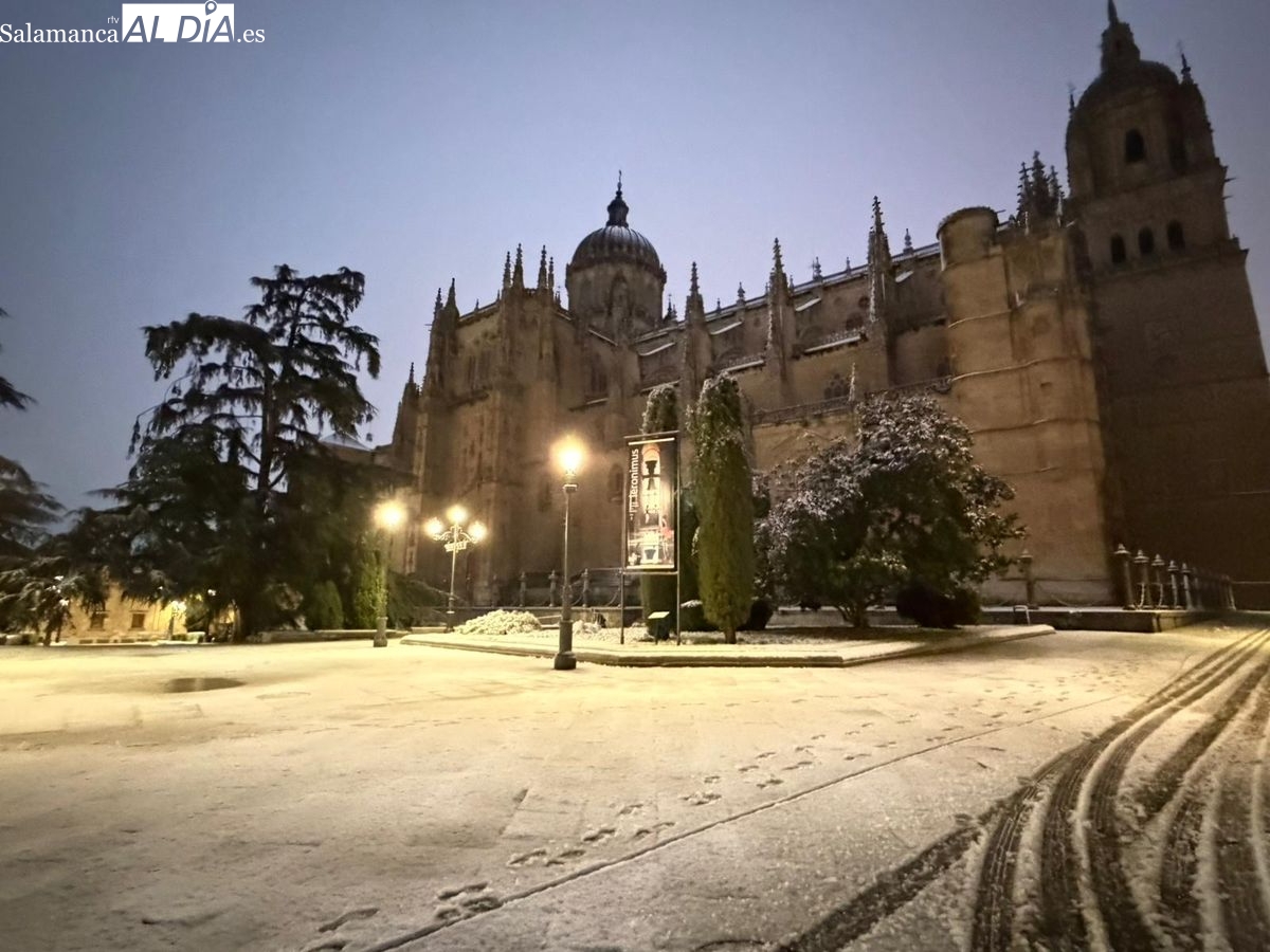 ⛄️ Ampliamos las FOTOS de la nevada en #Salamanca con imágenes de Anaya, Patio Chico y Puente Romano 👇
salamancartvaldia.es/noticia/2026-0…