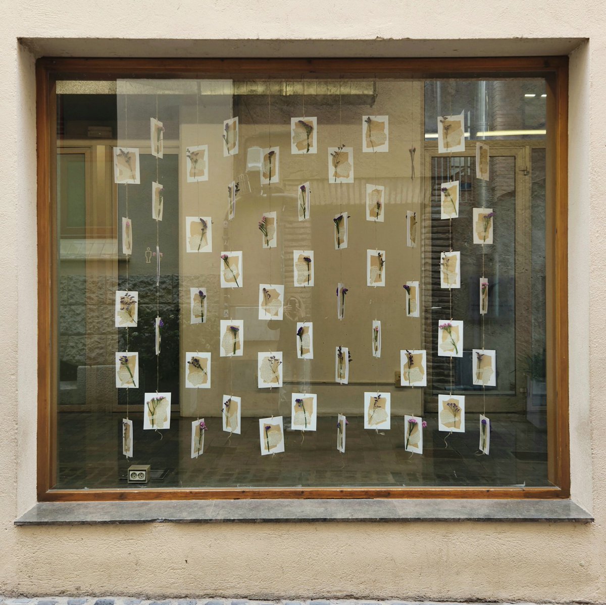 bibliotequesgr's tweet photo. VIndran les flors 
Les flors travessen tota l’obra de #MercèRodoreda. Símbols ambivalents: el deliri, la vergonya, la passió, la tristesa, l’amor, la gelosia, la ferida i la violència del temps.

#aparadorsculturals @bibliotequescat @bibliotequesXBM 
@granollers @RodoredaMerce https://t.co/hOoejOkotY