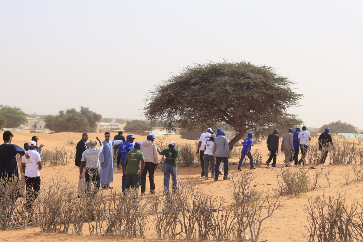 ACReSALNigeria tweet media