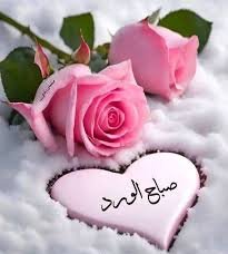 Ctx67_'s tweet image. #صباح_السعاده                                                                                                         اللهم صباحاً نستفتح فيه برحمتك صباحاً يتجلى فيه لطفك و رزقك و توفيقك  🤍