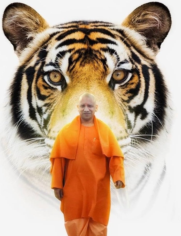 Sunil Mishra ♛ tweet media