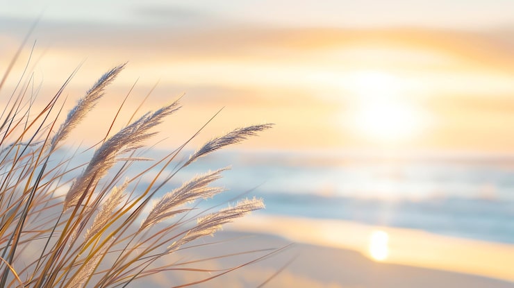 “Alla fine, noi abbiamo solo un dovere morale: reclamare larghe aree di pace in noi stessi, più e più pace, e di rifletterle verso gli altri. E più pace c’è in noi, più pace ci sarà nel nostro mondo turbolento”
(Etty Hillesum) 

#NoiRadiciEMemoria   #SalaLettura