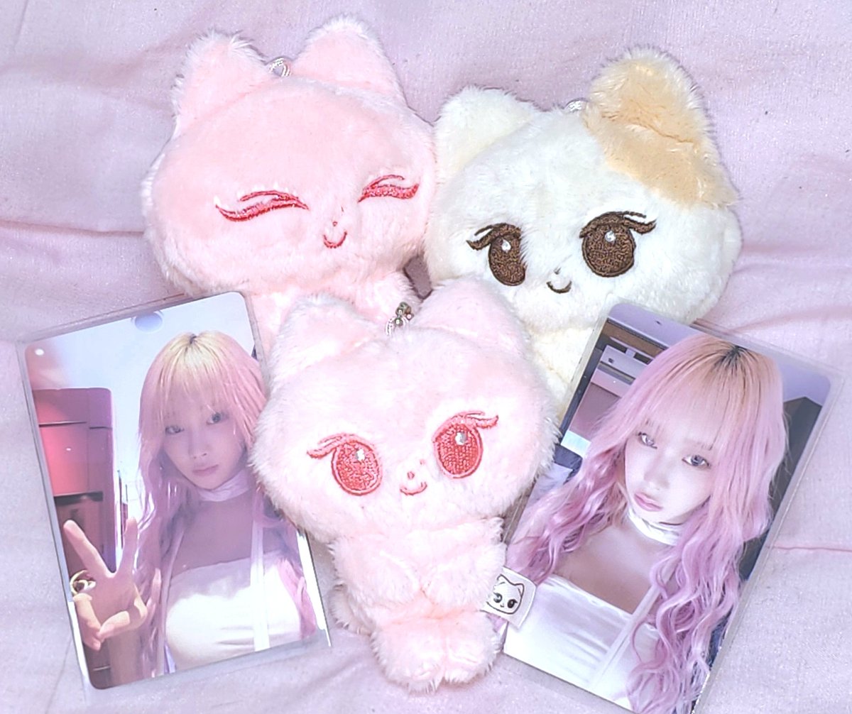 해피젤냥이가 왓어요