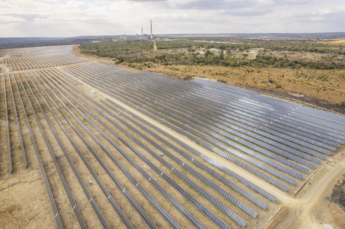 newZWire tweet media