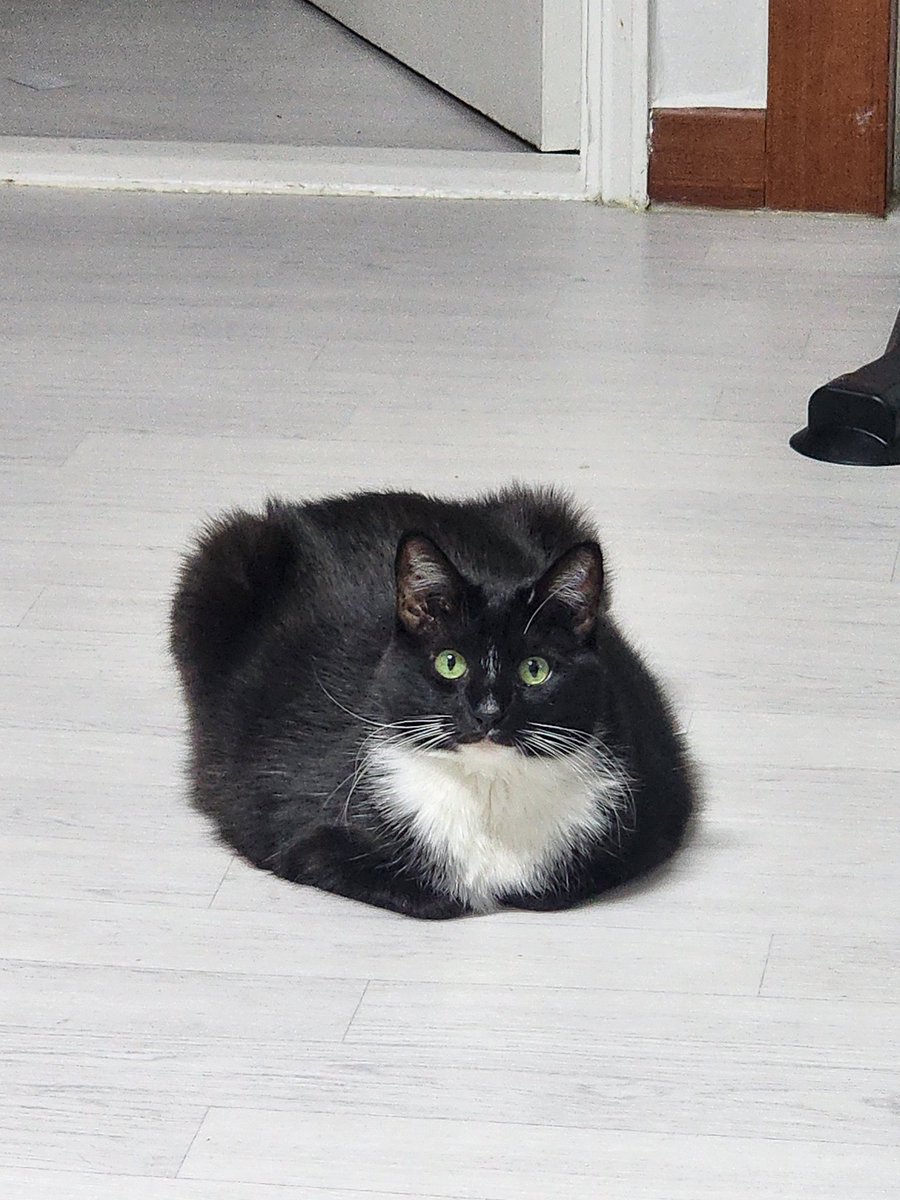 좀 웃기게 생겼다