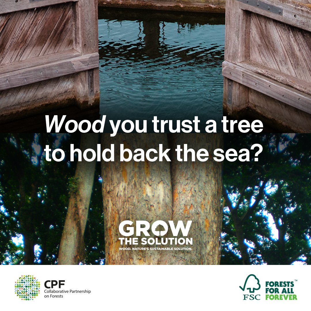 FSC_IC's tweet image. #WoodYou trust a tree to hold back the sea?

🪵🌊 In the Netherlands, lock gates made from FSC-certified African azobé keep water at bay — and sustain families back in Gabon.

Trees grow more than wood - they grow livelihoods.

Co-created with @FAO 
#GrowTheSolution #FSC