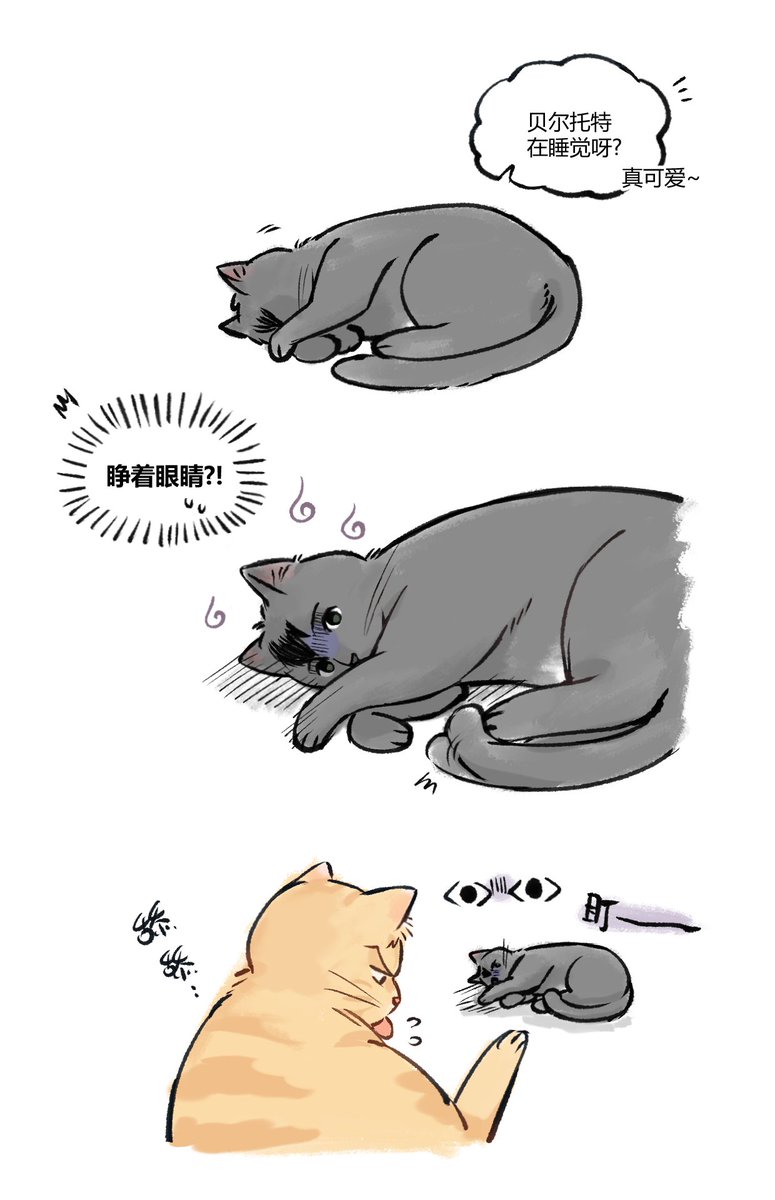 🍿养老泡泡人🍦 tweet media