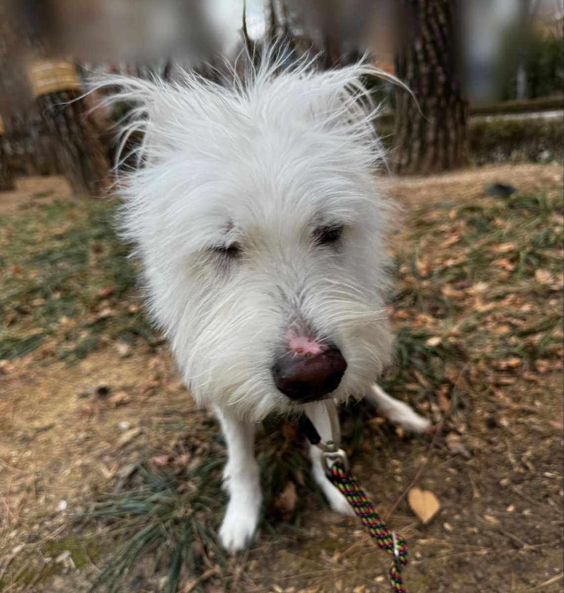 ANI3OO's tweet image. 