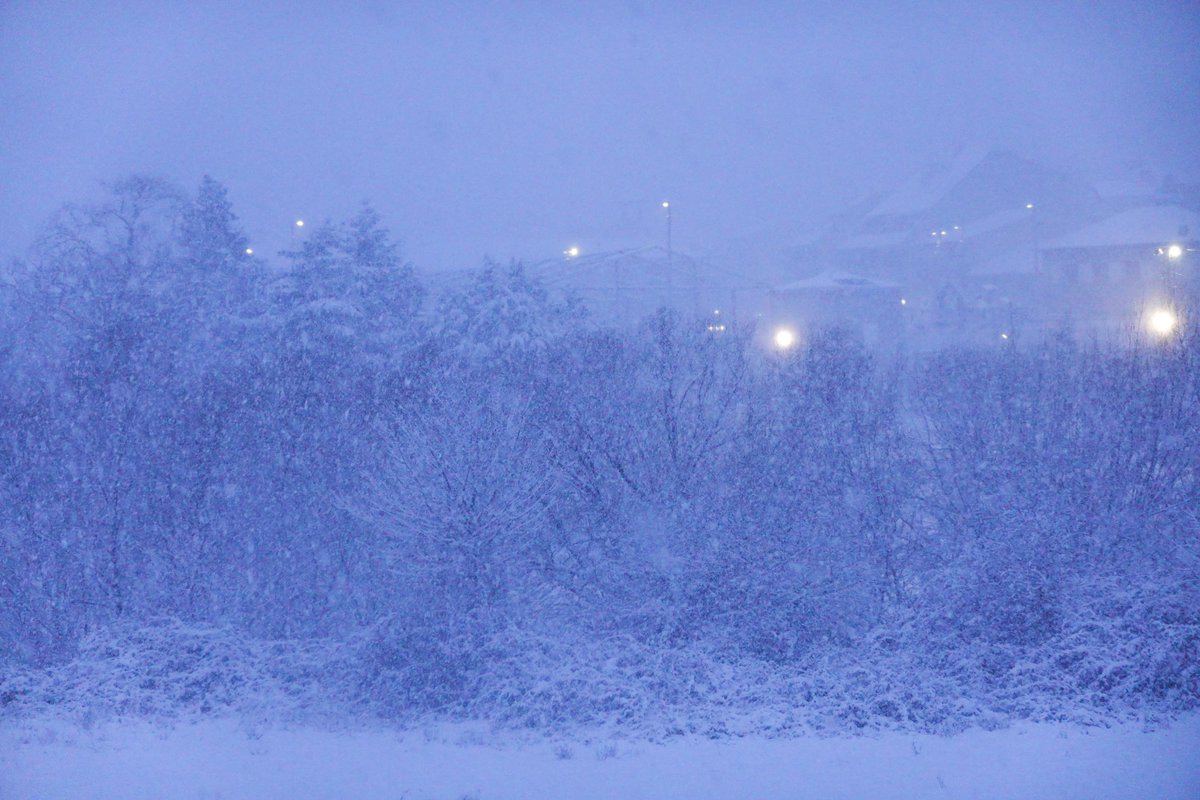 Toño Cañadas tweet media