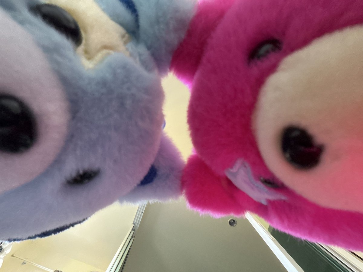 อ้วนทำไรกานนน 🩷🩵🦷🧛🏻