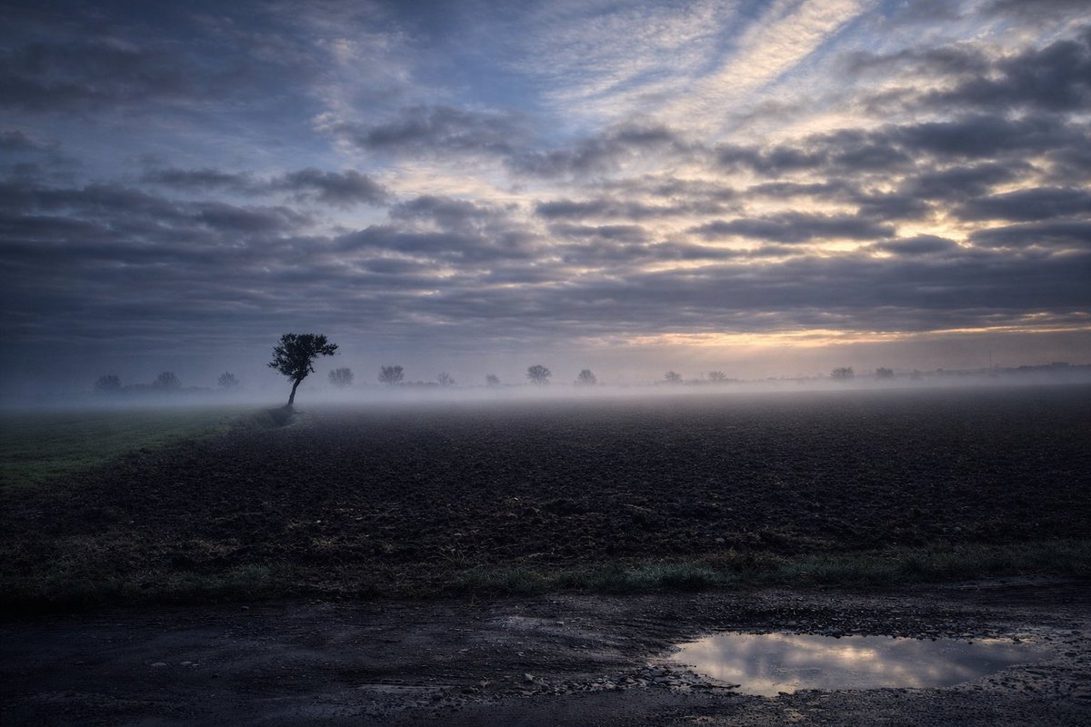 John Sears tweet media