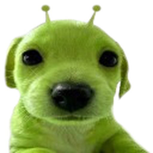 Vavyvoom tweet media