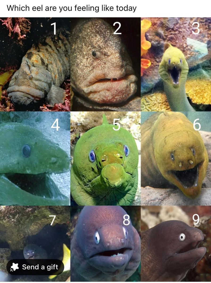 RunningWindward's tweet image. 