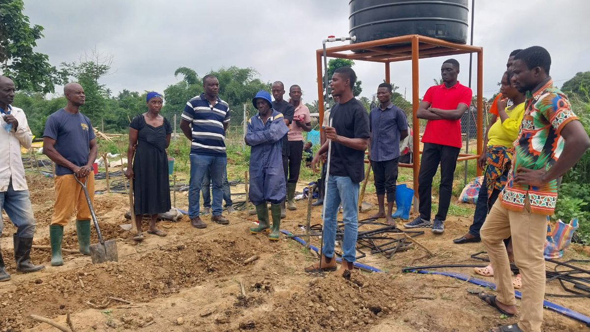 Defarmercist Alex Afari 🇬🇭 tweet media