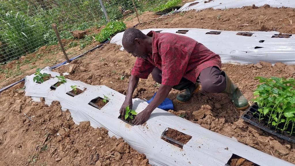 Defarmercist Alex Afari 🇬🇭 tweet media