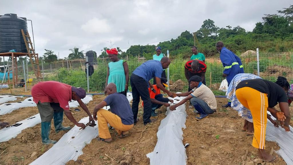 Defarmercist Alex Afari 🇬🇭 tweet media