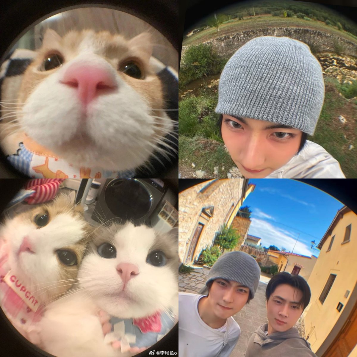 woncattos's tweet image. COPY              🐈🐈‍⬛️                PASTE