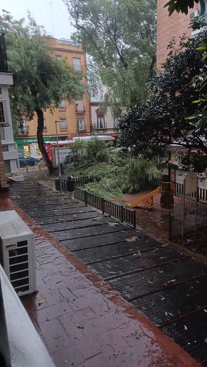 Se están cayendo árboles y cornisas por toda la ciudad y las colegios sin  suspender las clases. Buenos dias y mucho cuidado.